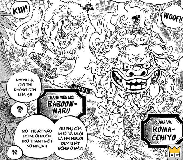 Luffy và Zoro trên lưng Komainu đưa Otama đi chữa bênh. (Ảnh minh họa)