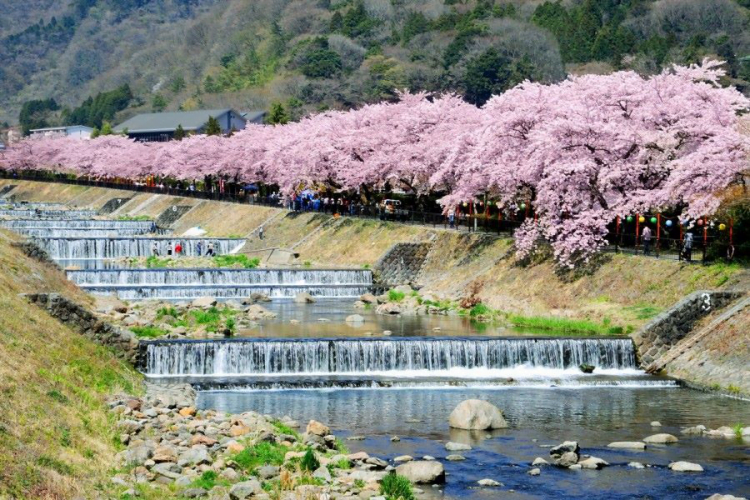 Tỉnh Kanagawa có nhiều điểm du lịch thu hút du khách trong và ngoài nước.