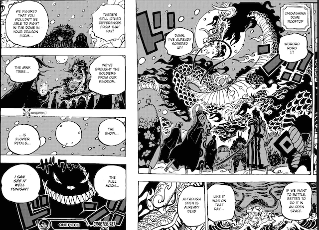 One Piece: Hình dạng Sulong của tộc Mink và Cửu Hồng Bao hợp tác có đủ sức làm khó Kaido?