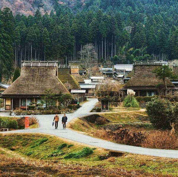 Cung đường đến làng khá hiểm trở, không phát triển giao thông nên hiếm du khách tìm đến, nơi đây giữ gìn nguyên vẹn khung cảnh hoang sơ. Năm 1993, Miyama Kayabuki, với cánh đồng lúa và rừng xung quanh, trở thành khu vực bảo tồn của Nhật. Ảnh: Traveljapan.