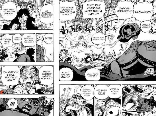 One Piece 989: Băng Mũ Rơm tập hợp đầy đủ