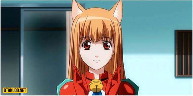 Top 10 nhân vật Neko đáng yêu nhất trong Anime