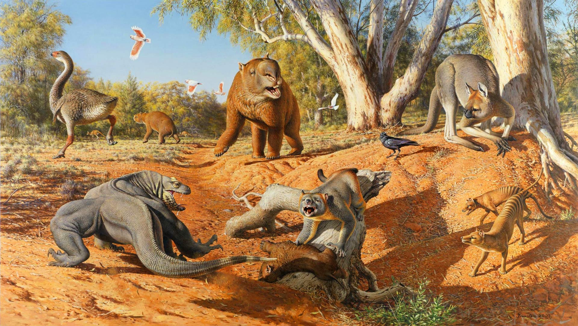 Một số loài Megafaunal tồn tại ở New Guinea cho đến 20.000 năm trước - Ảnh 2.