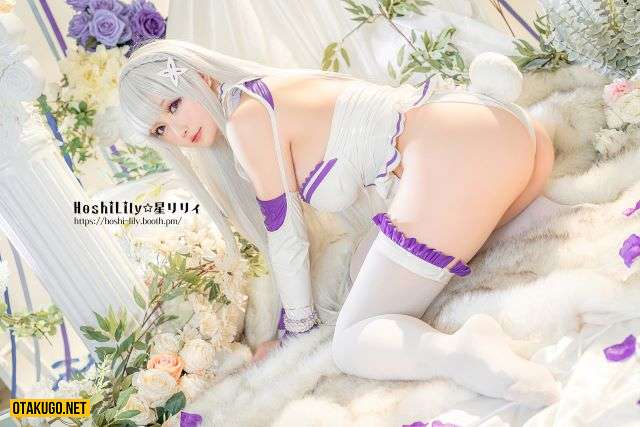Looking at Emilia like this, I wonder why Rem wasn't chosen