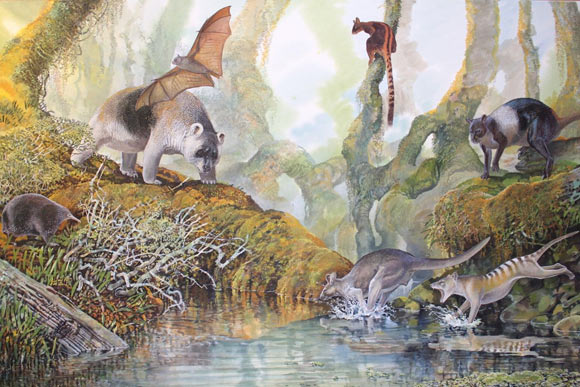 Một số loài Megafaunal tồn tại ở New Guinea cho đến 20.000 năm trước - Ảnh 1.