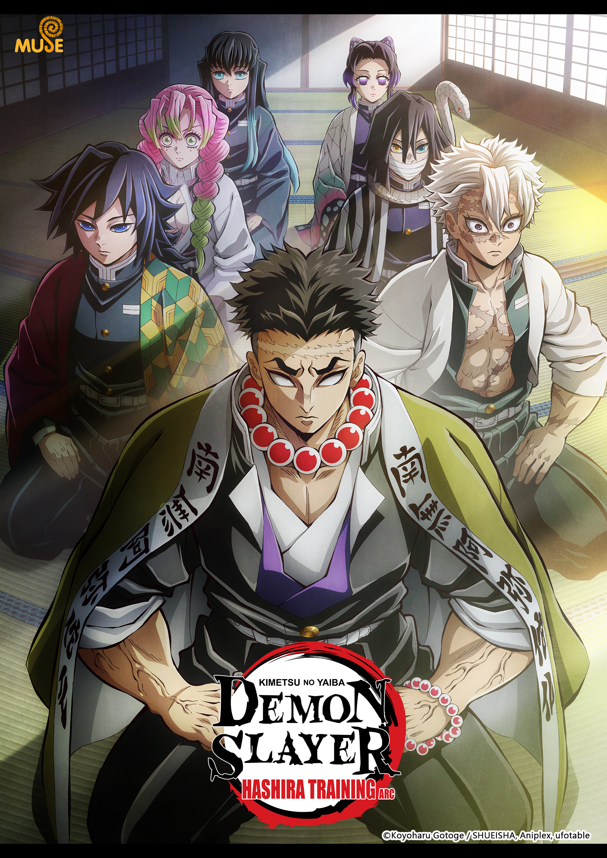 Demon Slayer: Kimetsu no Yaiba Hashira Training Arc