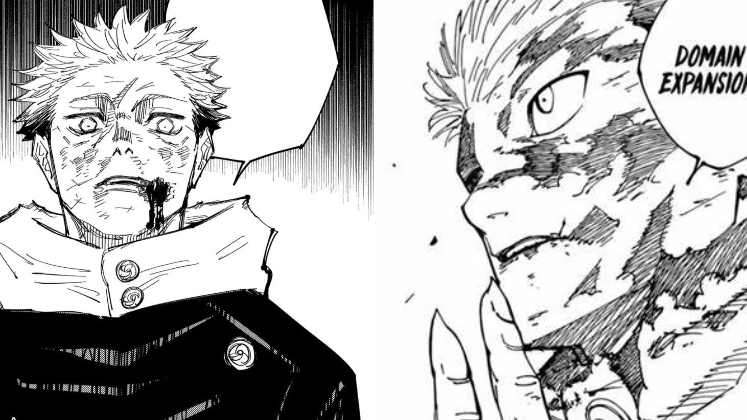 Yuji's amazing development in Jujutsu Kaisen Final completely overshadowed Sukuna's Arc making the Curse King look trivial